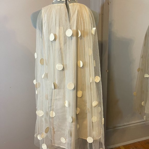 Gracia ivory polka dot chiffon sheer shift dress - Picture 6 of 11